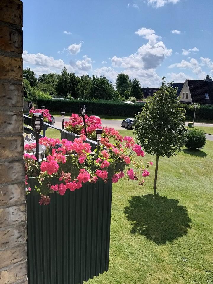 Thumbnail-Schöne 3 Zimmer Wohnung in einer sozialen & ruhigen Lage