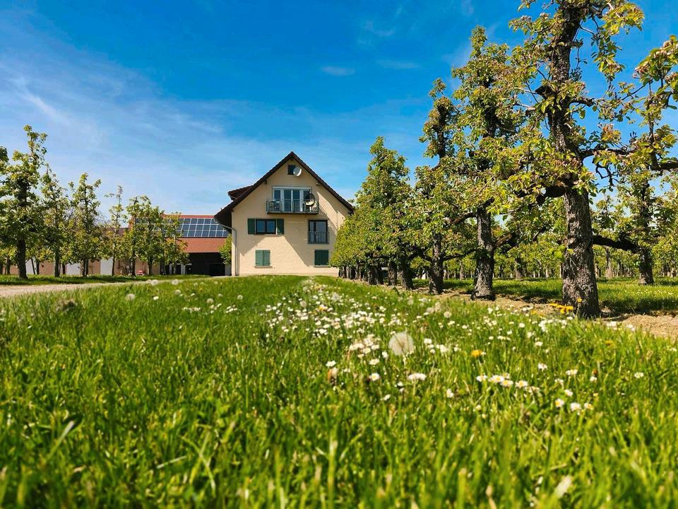 Thumbnail-Ferienwohnungen Bodensee- Bauernhof