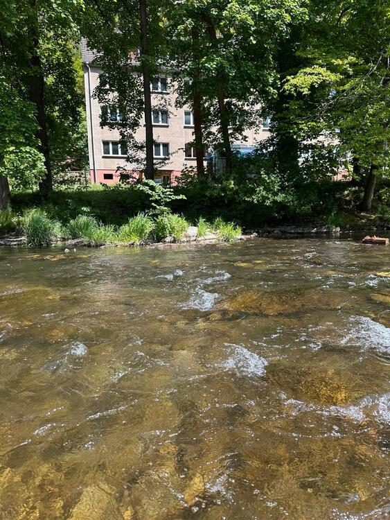 Thumbnail-Schwarzburg, Mehrfamilienhaus direkt am Fluss, provionsfrei