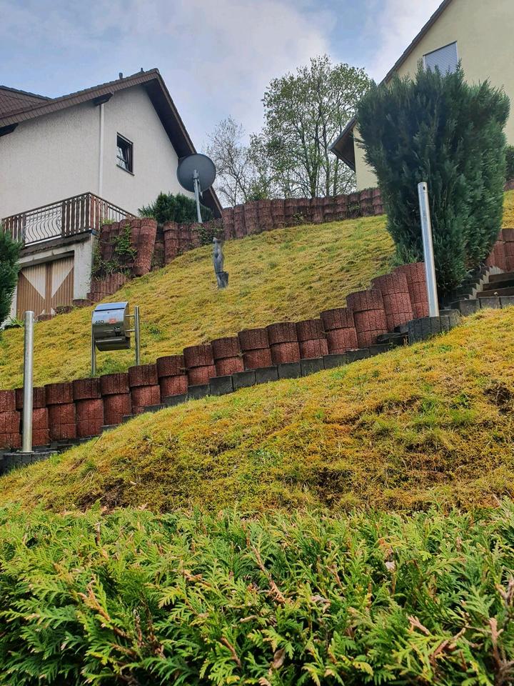 Thumbnail-Freistehendes Haus mit gr. Grundstück in Sinzig zu vermieten