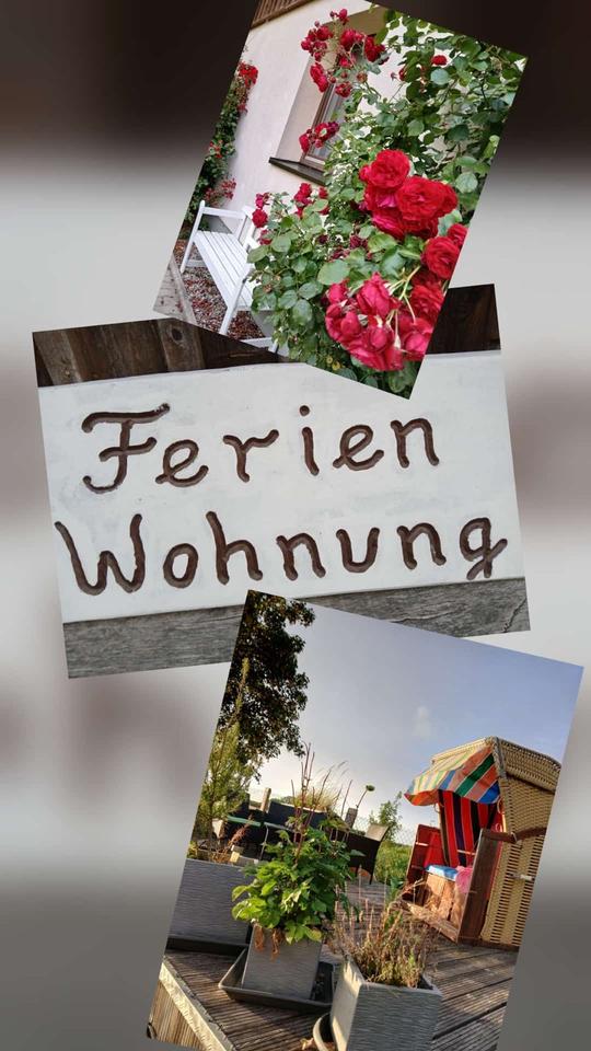 Thumbnail-Ferienwohnung „Paulchen“