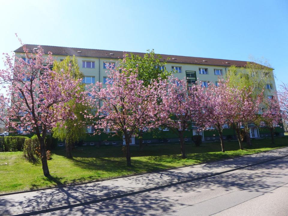 Thumbnail-Dachgeschosswohnung zum Wohlfühlen