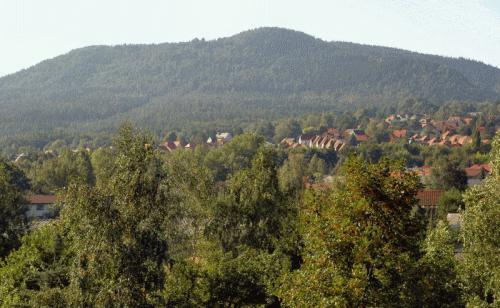 Thumbnail-Buchbergstraße 10 1.Etage