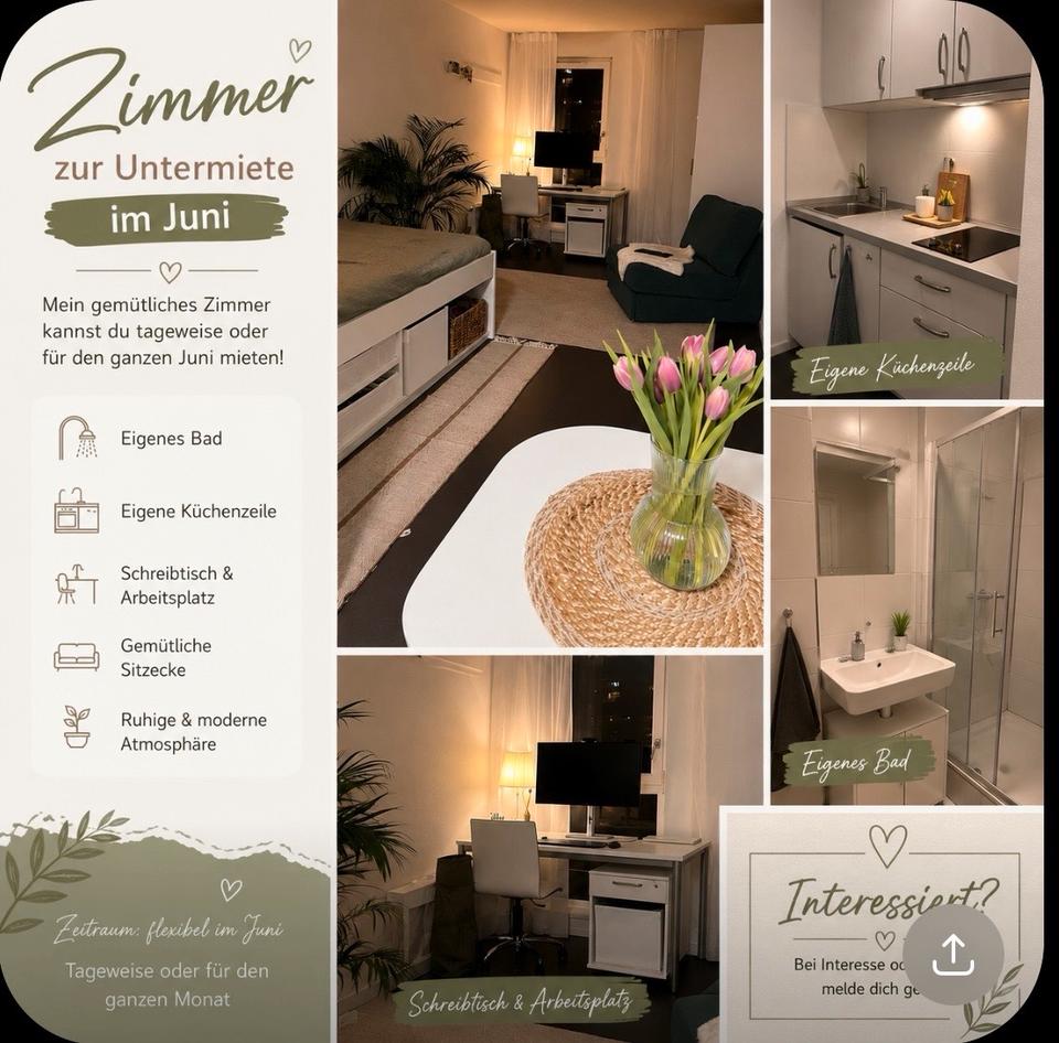 Thumbnail-An Studenten unterzuvermieten JUNI