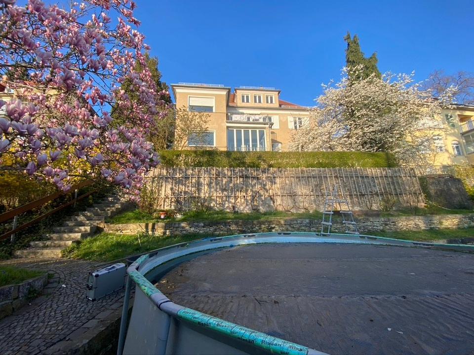 Thumbnail-181m² in DD-Oberloschwitz ab 08`26 Besichtigungen jetzt möglich