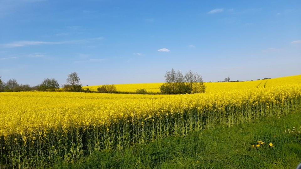 Thumbnail-Ferienwohnung zwischen den Meeren