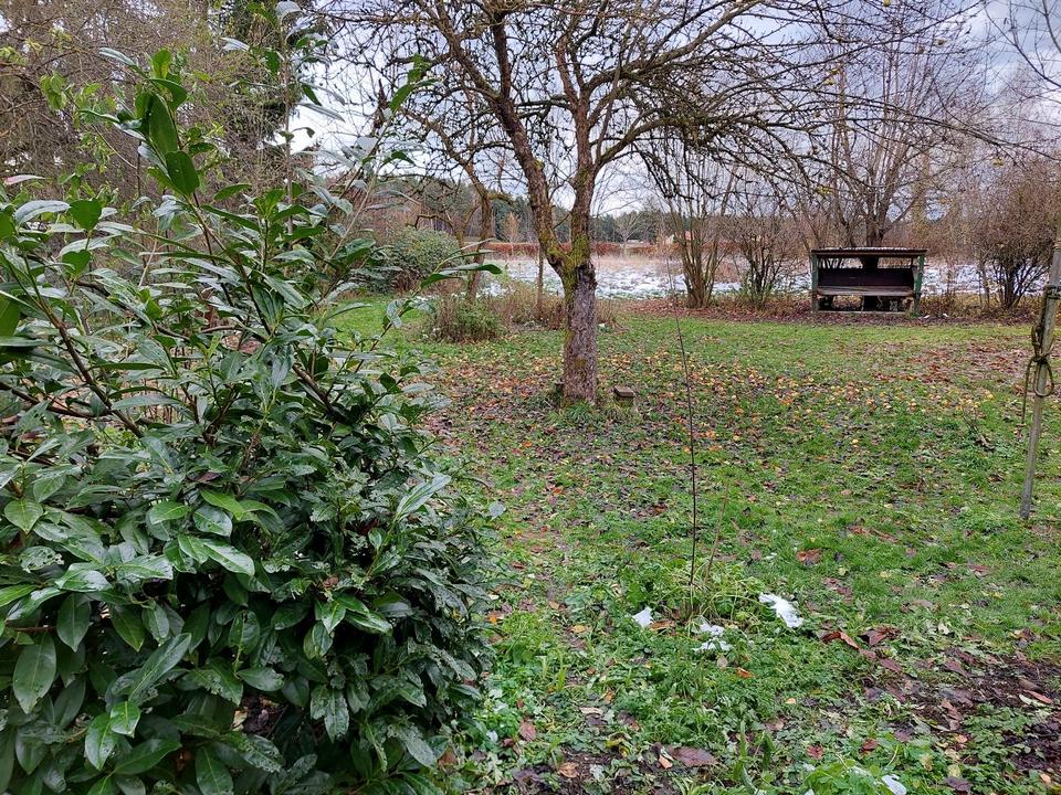 Thumbnail-Haus mit großen Grundstück