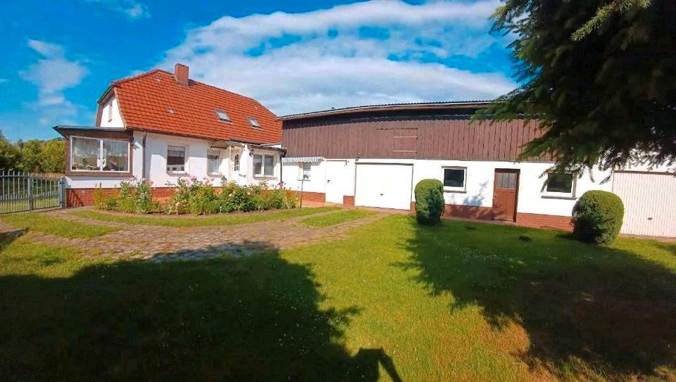 Thumbnail-Einfamilienhaus in der Mecklenburgischen Seenplatte