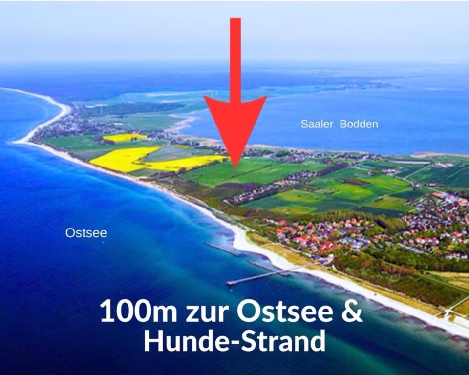 Thumbnail-❣️ OSTSEE Urlaub Ahrenshoop strandnahes Ferienhaus mit Hund ❣️