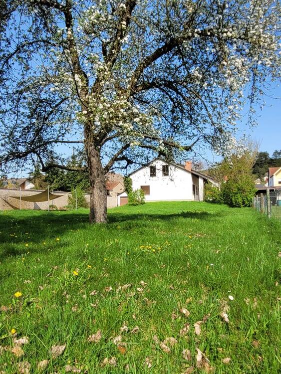 Thumbnail-Gartentraum mit freistehendem EFH, 2.400 m²
