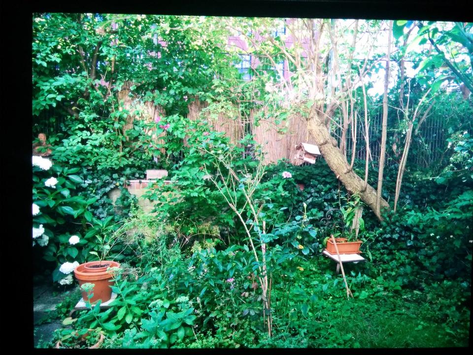 Thumbnail-Kleines WG-Zimmer (opt. ganze Whg.) mit Garten nähe Osterstr.