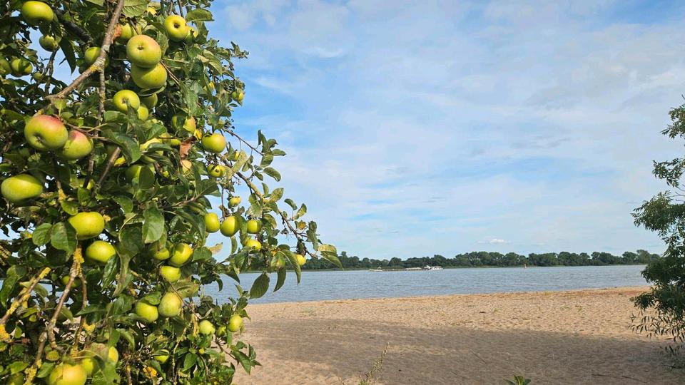 Thumbnail-Grundstück zu verkaufen