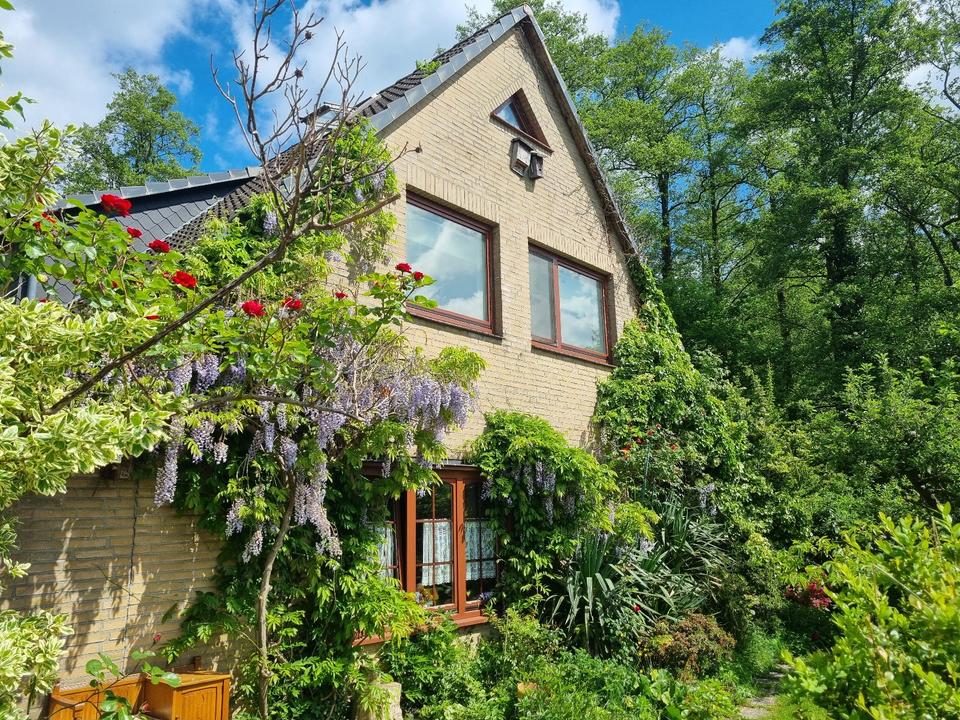 Thumbnail-Einfamilienhaus am Ortsrand - Sooo grün+zentral+viel Platz