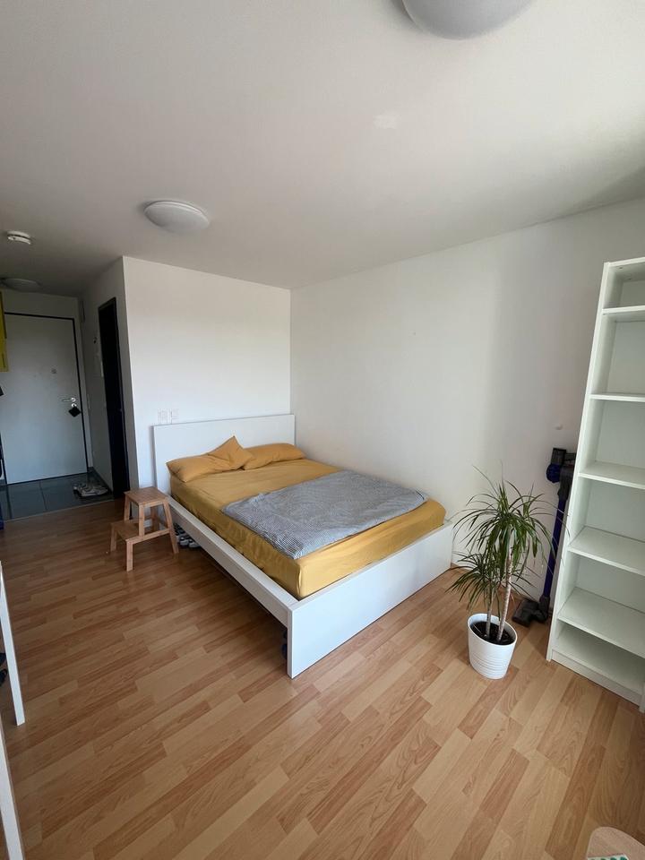 Thumbnail-Nachmieter für Studenten Wohnung zum 1. Juni