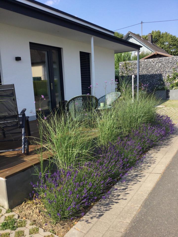 Thumbnail-Wohnung, ideal für Singlehaushalt, langfristig zu vermieten