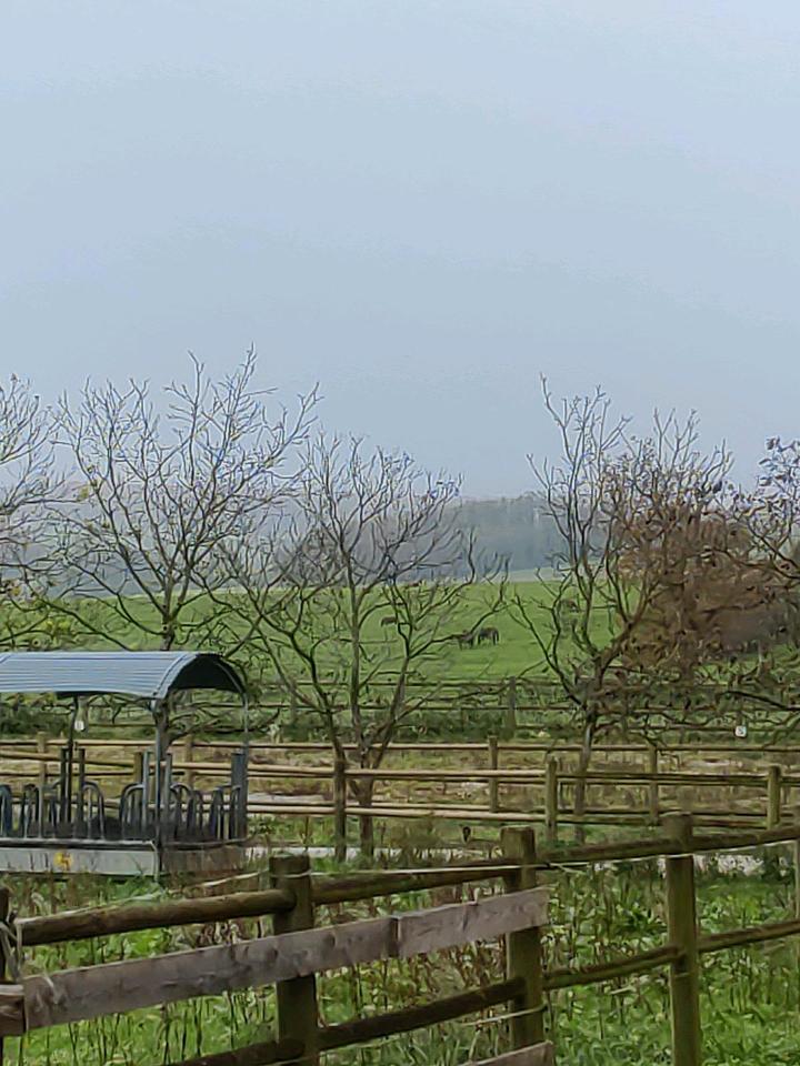 Thumbnail-Anwesen f. Pferde m. Stallungen, 34Ha Land in F 70160 Contreglise