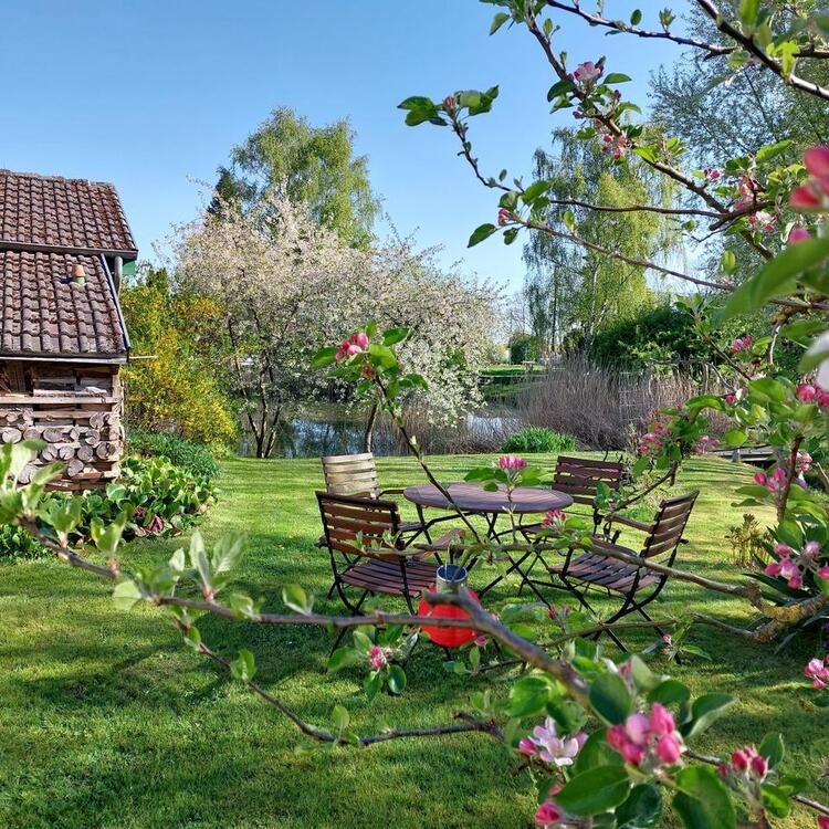 Thumbnail-FeWo Dreiseitenblick Bad Doberan Idyllischer Familienurlaub