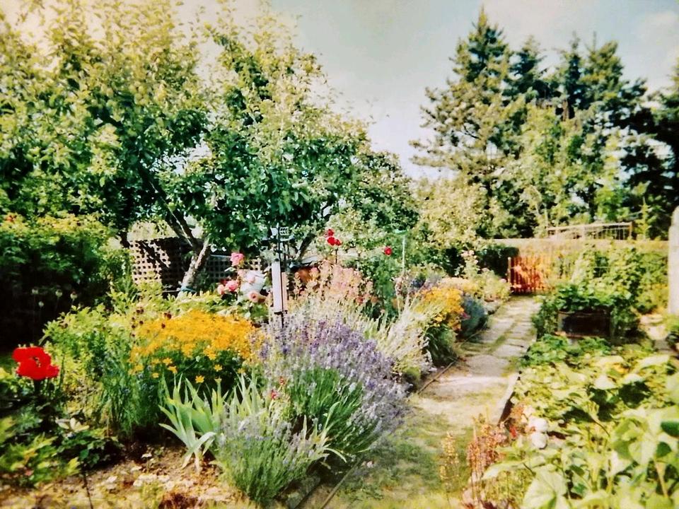 Thumbnail-Kleingarten Pachtgarten in Jena