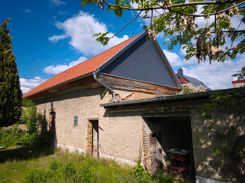 Thumbnail-Einfamilienhaus Lehmhaus Bauernhaus