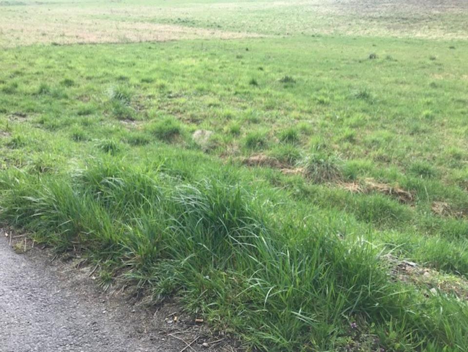 Thumbnail-Baugrundstück in Bad Kreuznach In den Weingärten, Top Lage