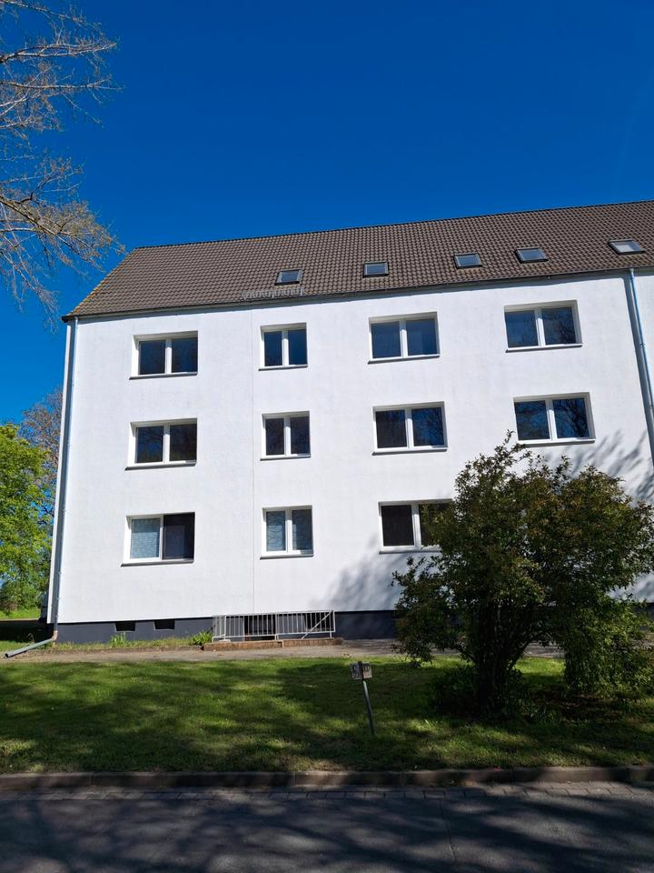 Thumbnail-Wohnen im Grünen - schöne 2-Raum-Wohnung