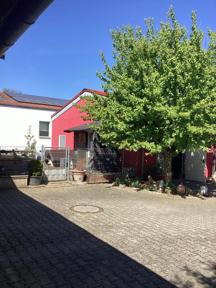 Thumbnail-Haus mit großem Grundstück und Halle