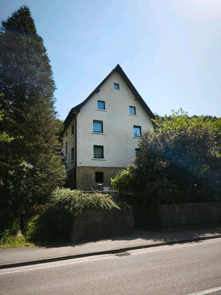 Thumbnail-Großes Haus mit Garten, Sauna, Pool, Bauplatz, Ferienwohnung