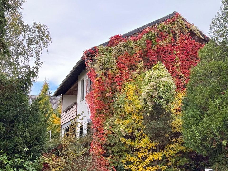 Thumbnail-Zweifamilienhaus in Salzgitter-Thiede zu verkaufen