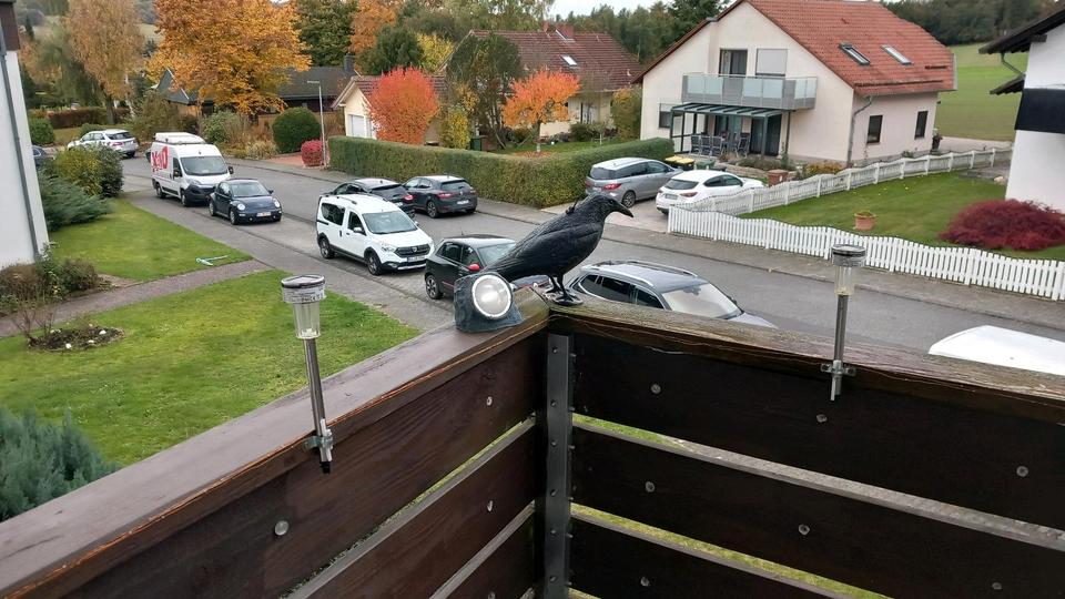 Thumbnail-Wohnung Zimmer Appartement Quartier in Bad Emstal Ortsteil Sand