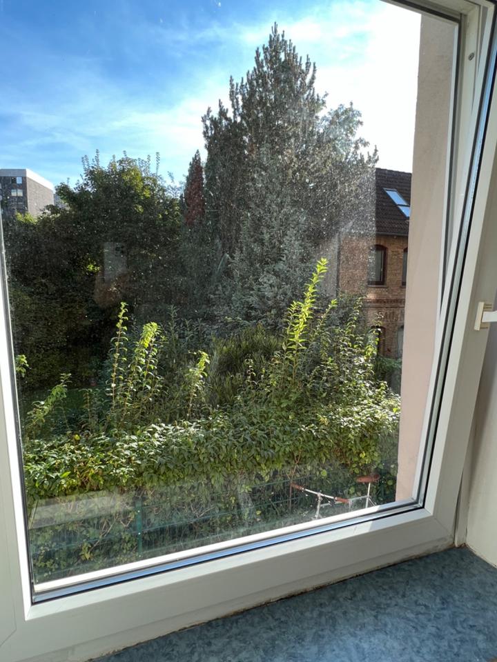 Thumbnail-Sanierte 1- Zimmerwohnung ( möbliert ) Nähe Inselwall-Park