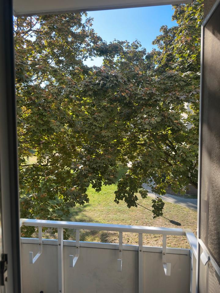 Thumbnail-1 Zimmer Wohnung in Spandau