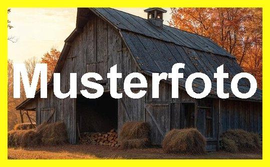 Thumbnail-1-2 Familienhaus mit Nebengebäuden in Eichenzell zu verkaufen