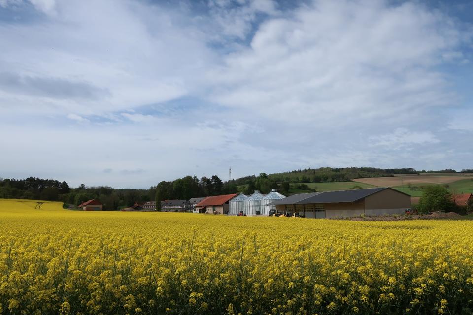 Thumbnail-2–Raumwohnung auf dem Lande nahe Göttingen