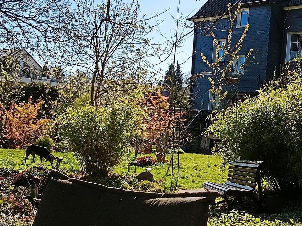 Thumbnail-1,5 Zimmer Wohnung,, WZ SZ Küche DuWC möbliert, Gartennutzung