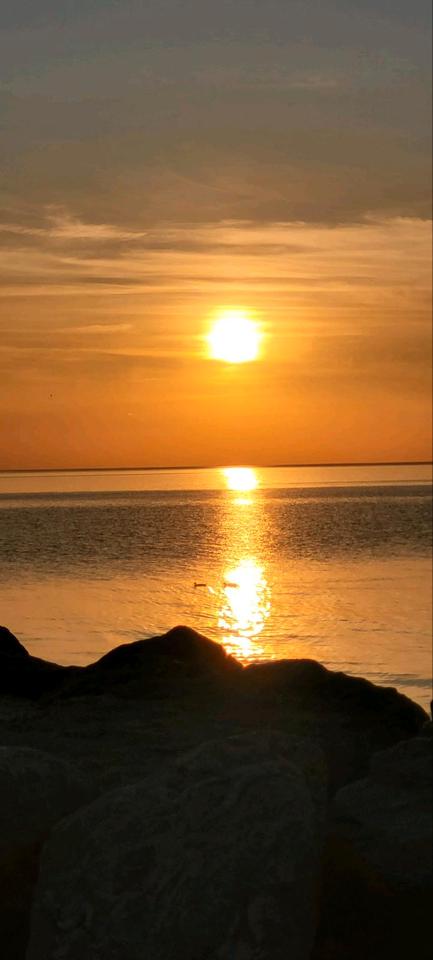 Thumbnail-Grundstücke mit 2 Häuser und Rohbau zu verkaufen in Neppermin