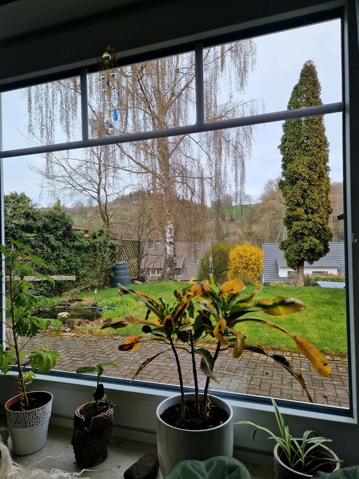 Thumbnail-​Helle 2-Zimmer-Erdgeschosswohnung mit eigenem Garten & Parkplatz