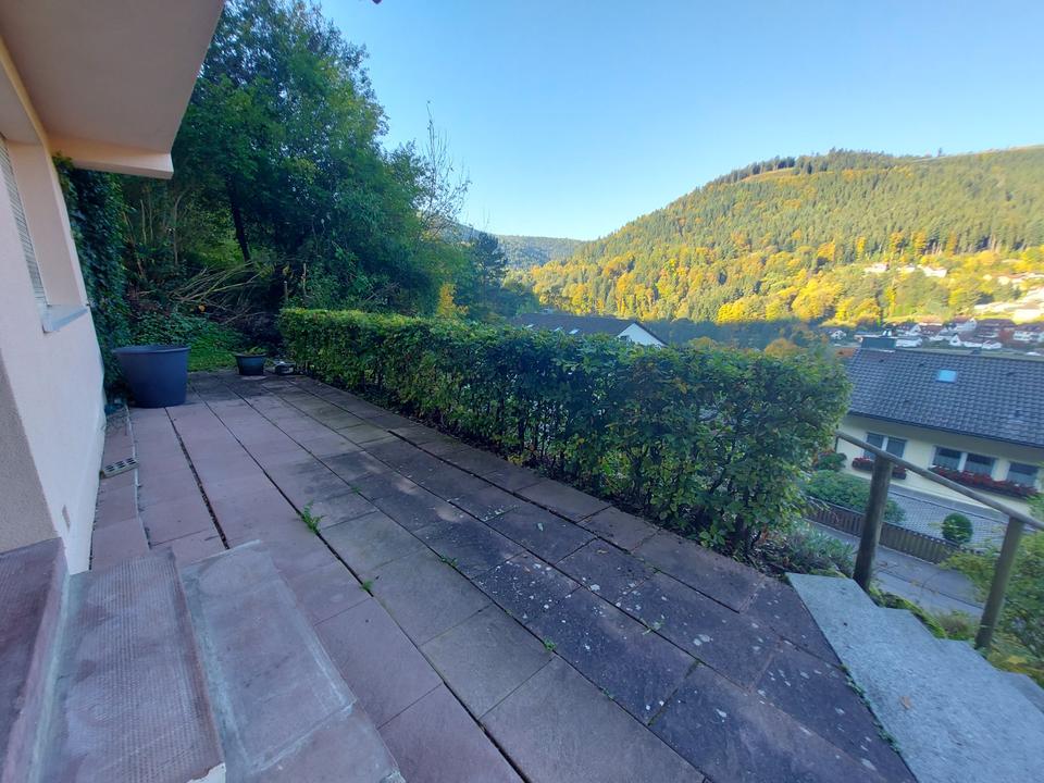 Thumbnail-2-Zimmer-Wohnung mit Talblick