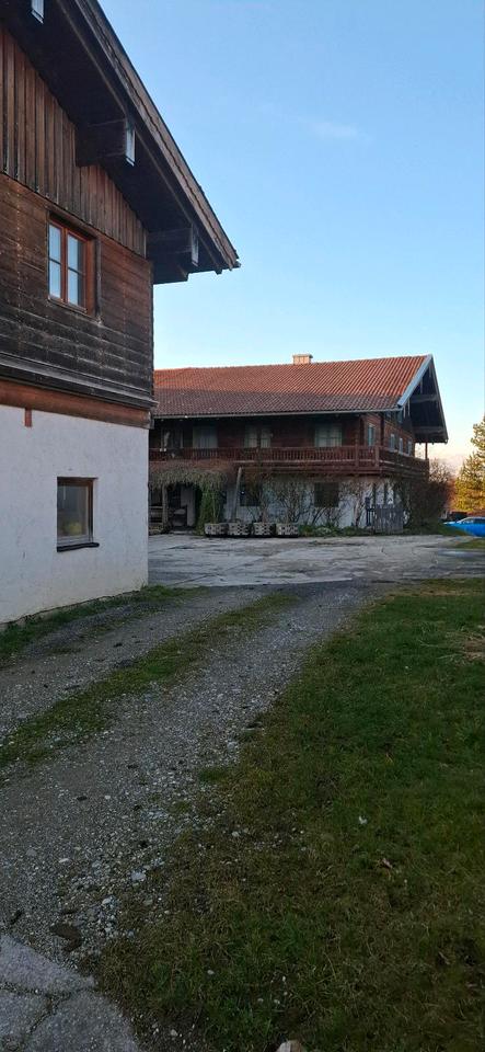 Thumbnail-Wohnhaus Garten Wiese Werkstatt Wohnung