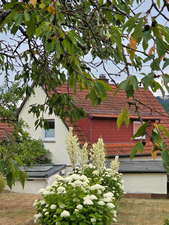 Thumbnail-Einfamilienhaus freistehend