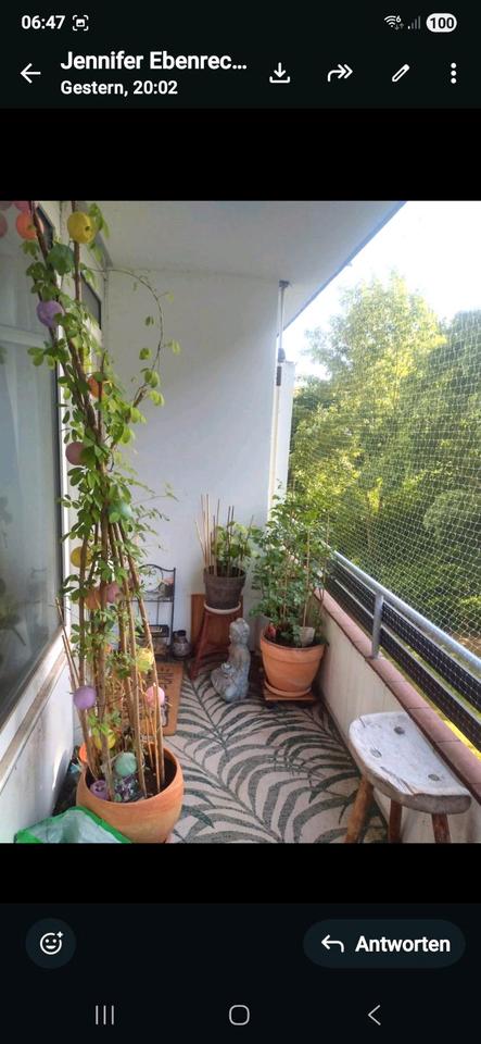 Thumbnail-1 ZimmerFahrstuhlBalkon