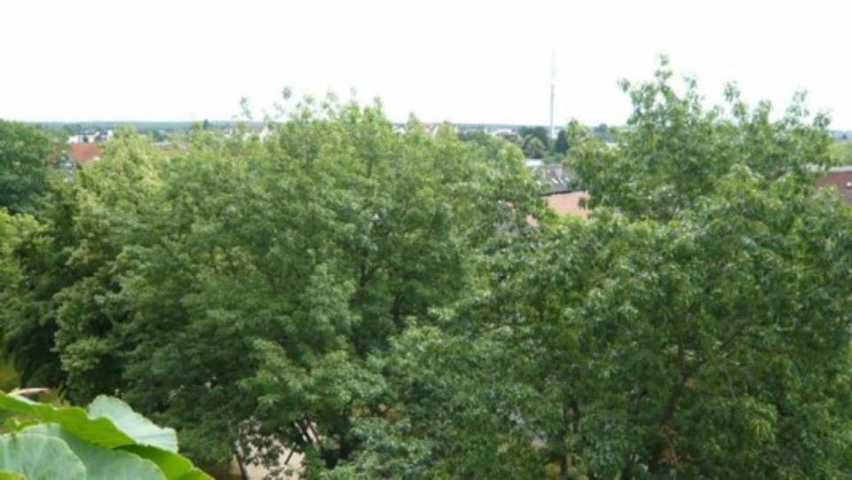 Thumbnail-Gepflegte 3(+1)-Zimmer-Maisonette mit Loggia+ Garage, Rodgau