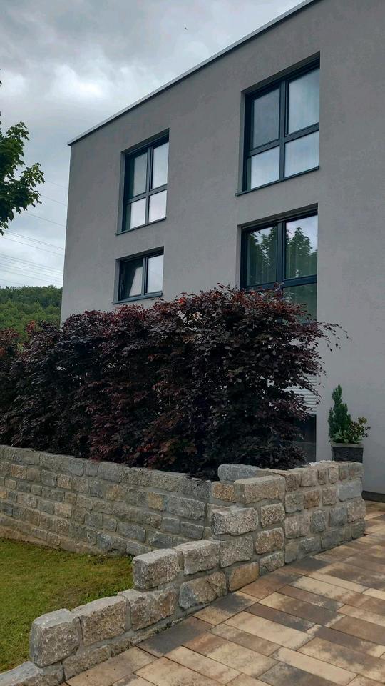 Thumbnail-Villa in Nagold mit 5000qm