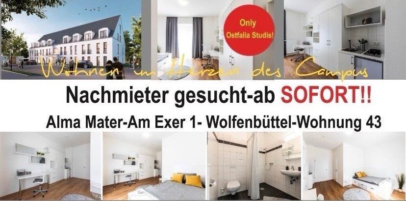 Thumbnail-Stundetenwohnung Neubau am exer 43 Wolfenbüttel ab sofort!!