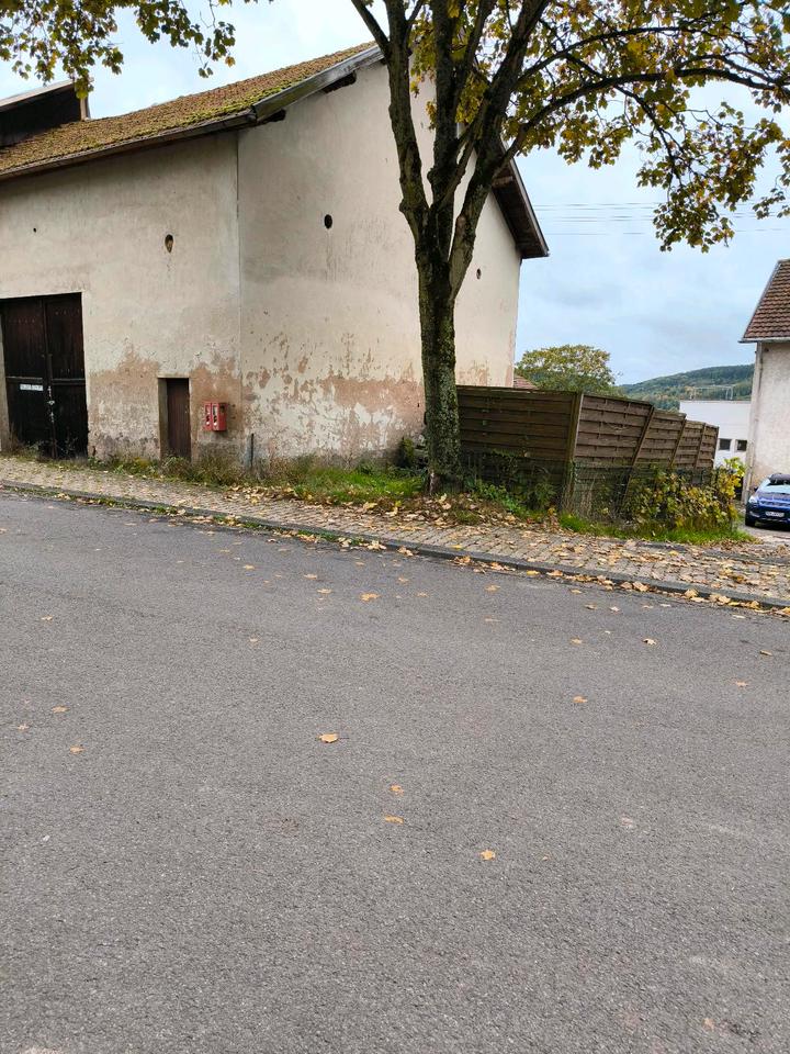 Thumbnail-Scheune im Ortsteil von Merzig