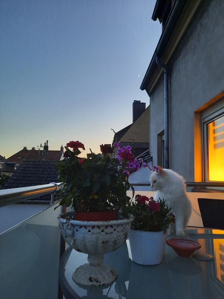 Thumbnail-Moderne 3 Zimmer Wohnung ab 01.06.26 SB