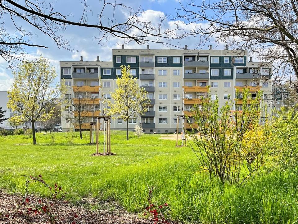 Thumbnail-Ideal für Rentner u. Senioren: Aufzug Dusche Nähe zur Straßenbahn