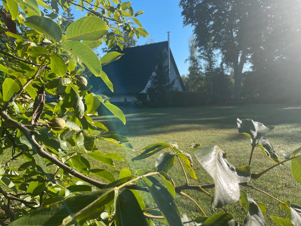 Thumbnail-Ferienhaus Finnhaus im Havelland, im Wald und unweit vom See
