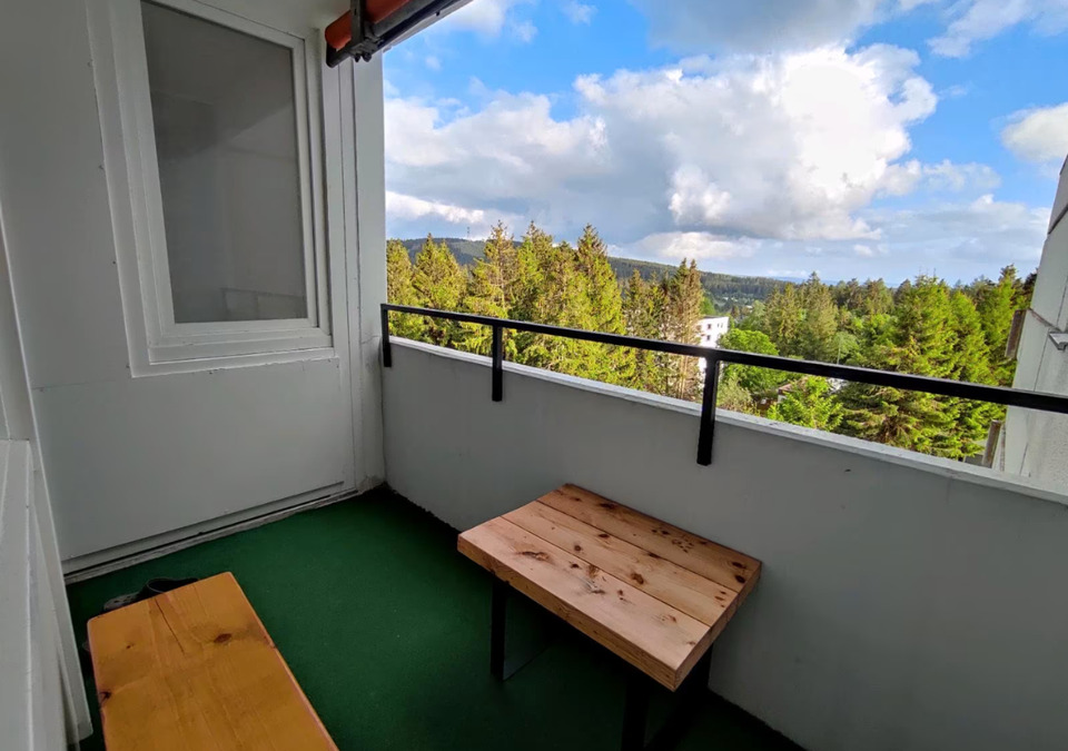 Thumbnail-Ihr Traum vom Harz: Charmante Ferienwohnung in Hahnenklee