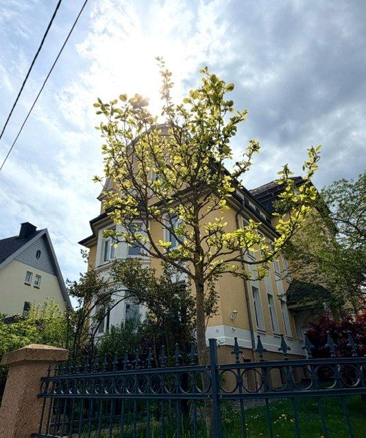 Thumbnail-großzügige 3- Raum Wohnung mit Balkon im Villenviertel Eisenachs