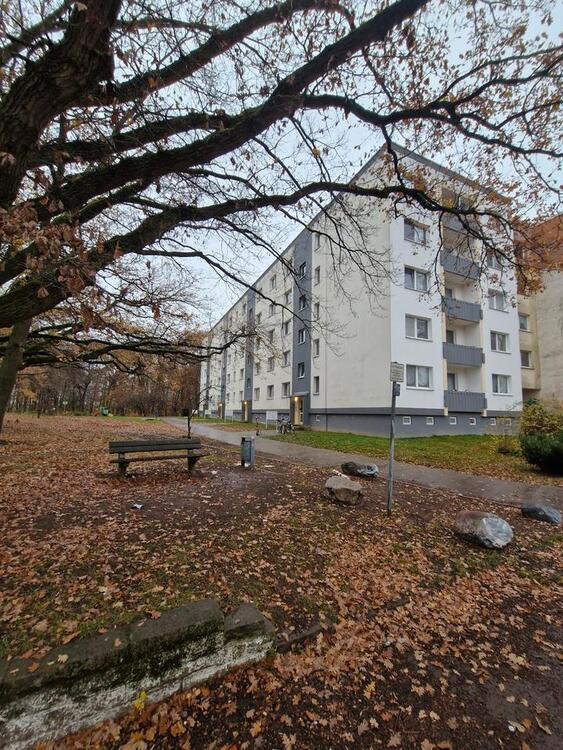 Thumbnail-Ruhige 2 Zimmer Erdgeschosswohnung mit Dusche und Balkon ab Juni 2026